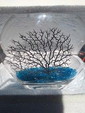 Fish Tank Table Top  By