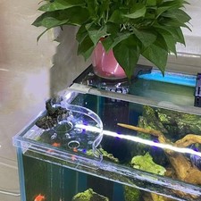 Fish tank corner - corner, rack