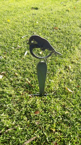 Bare metal robin bird - metal,