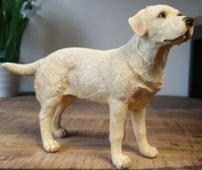 Standing Golden Yellow