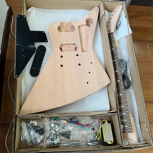 Electric guitar diy - diy, kit