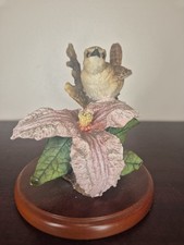 Border Fine Arts Studio Wren