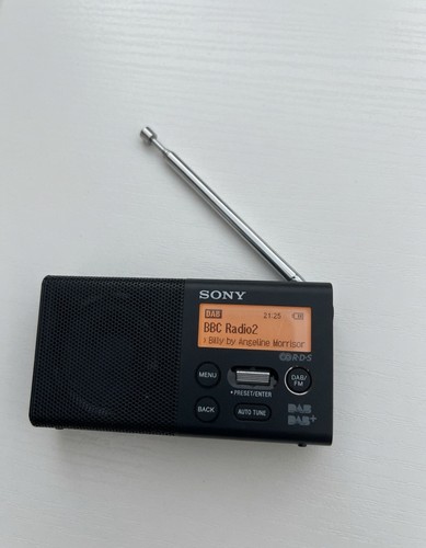Sony xdr p1dbp portable - xdr-p1dbp,
