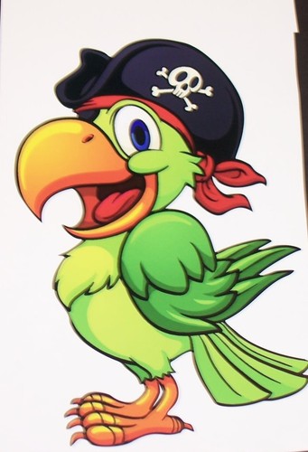 Pirate parrot motorhome - parrot, rv