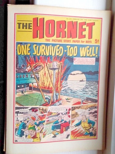 The hornet comic 24th - hornet",