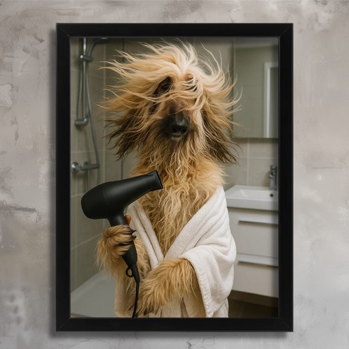 Dog grooming wall - grooming, afghan