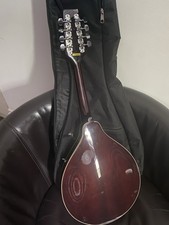 Ashbury 8-String Mandolin