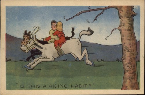 Pun comic riding habit - pun, habit?