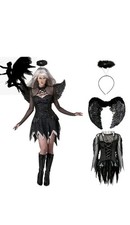 Ladies Adult Dark Fallen Angel