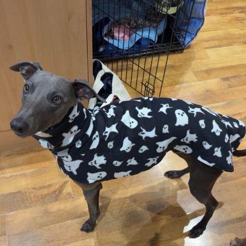 Ghost halloween fleece - 20”,