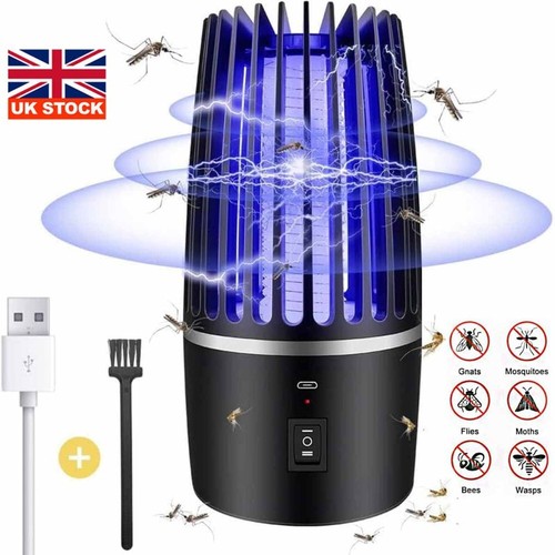 Electric insect bug - insect,