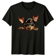 Cute Miniature Pinscher Dog