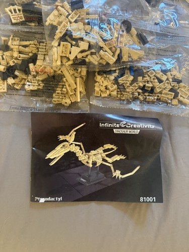 Pterodactyl dinosaur skeleton - dinosaur,