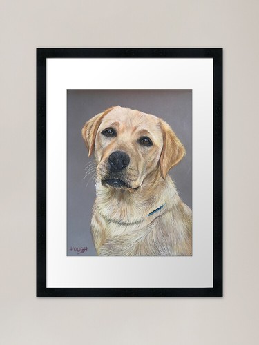 Labrador female framed - female, art