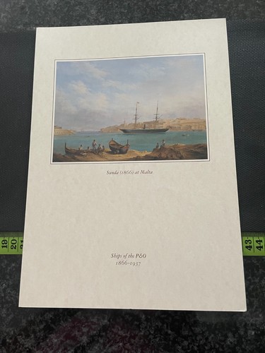 Cruises arcadia menu - cruises,