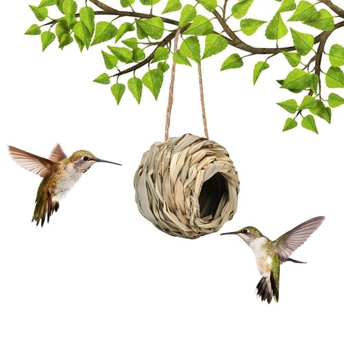 1pc bird nest breeding - bird,