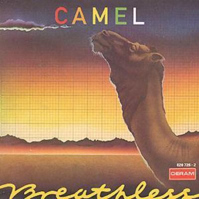 Camel breathless - camel:,