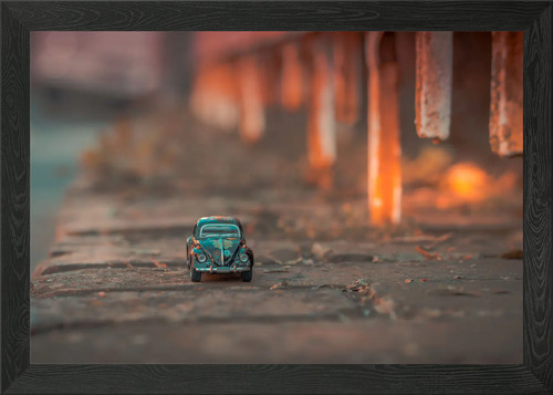 Miniature beetle flower - vw,