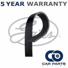 Gates V-Ribbed Belts Fits