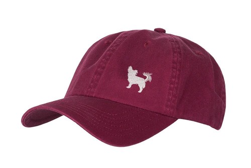 Chihuahua clothing gifts 100 - clothing, 100%