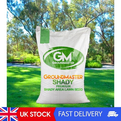 Dark lawn area - lawn, seeds