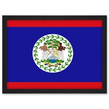 Belize National Flag World Flags Country Poster Framed Wall Art Picture Print A3