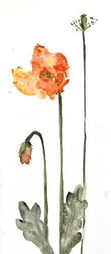 Michelle kral original - michelle,