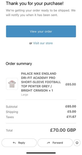 Palace nike england - england, fit
