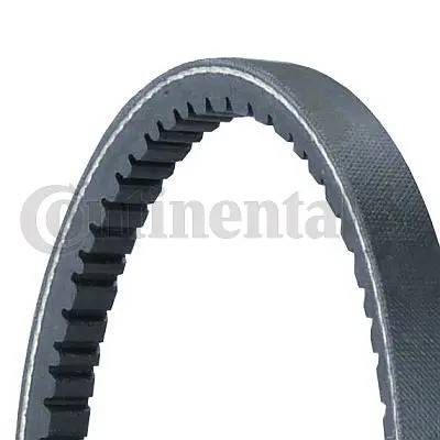 Belt fits audi - v-belt, coupe