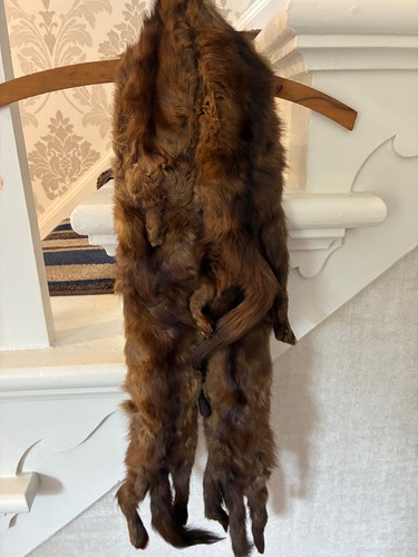 Vintage genuine fox fur - vintage,