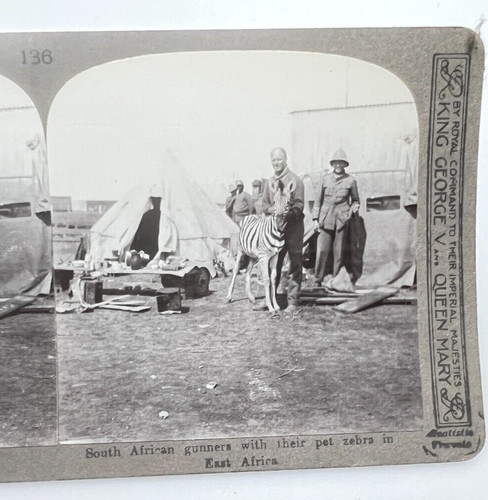 Ww1 stereoview card photo - stereoview, 3d
