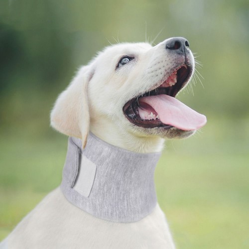 Neck ring anti lick wound - neck, anti-lick