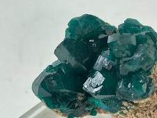 Dioptase Crystal Cluster