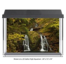 River Water Fall Forest Fish