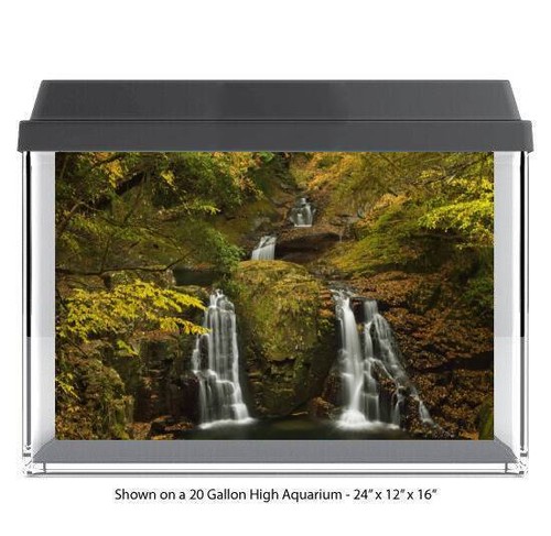 River water fall forest fish - water,
