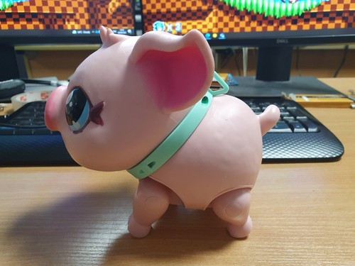 Little live pets pet - pets, pig