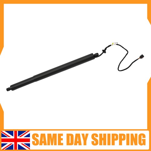 New boot lid gas - boot,