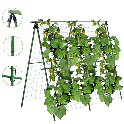4x4ft climbing plant support - 4x4ft,