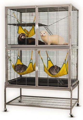 Portable rolling pet - rolling,