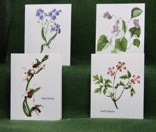 Misterbcards antique wild - 12,