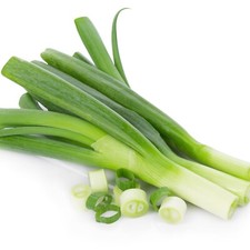 Vegetable Plants - Leek