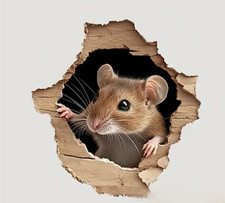 Realistic Brown Cute Mouse C