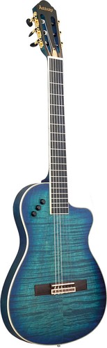 Electro classical guitar - electro,