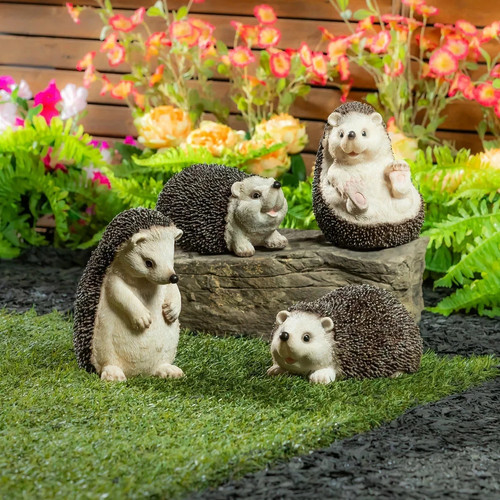 Evergreen hedgehog family - evergreen,