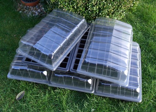 Full size propagator seed - full,