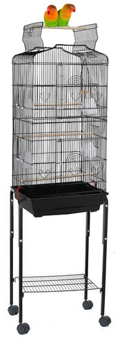 Large budgie canary - 64",