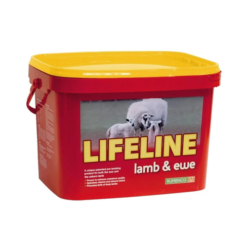 Rumenco lifeline lamb - lifeline, ewe
