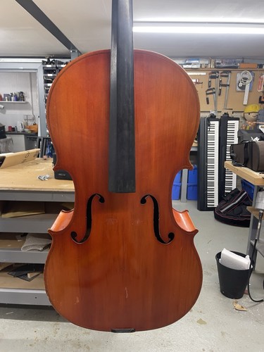Full size musima cello - full, 4/4