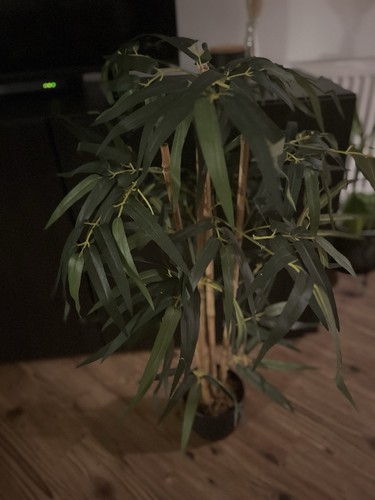 Artificial bamboo style plant - artificial,