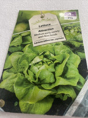 Vegetable seeds lettuce - vegetable,